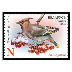 Bohemian Waxwing