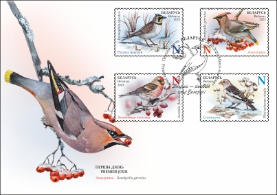 Birds – winter guests of Belarus