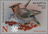 Bohemian Waxwing