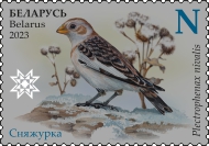 Snow Bunting