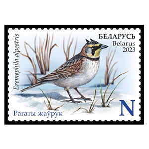 Horned Lark