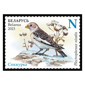 Snow Bunting
