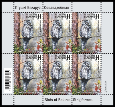 Ural Owl