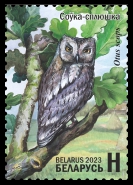 Eurasian Scops Owl