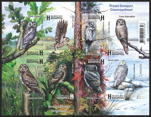 Birds of Belarus. Strigiformes