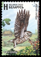 Little Owl