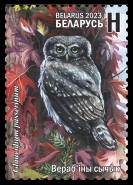 Eurasian Pygmy Owl