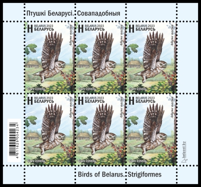 Little Owl