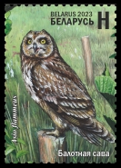 Short-eared Owl