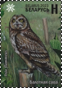 Short-eared Owl