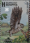 Little Owl