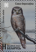 Northern Hawk-Owl