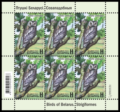 Eurasian Scops Owl
