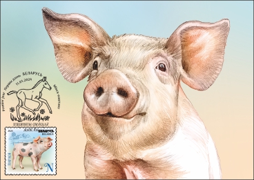 Piglet