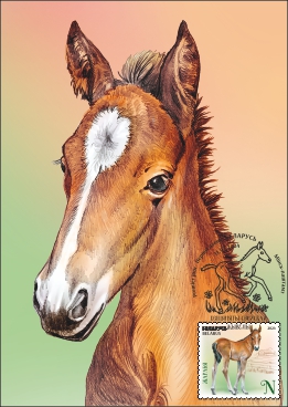 Foal