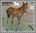 Foal
