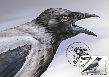 Birds of Belarus. Сorvids
