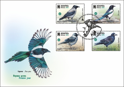 Birds of Belarus. Сorvids