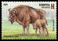 European bison