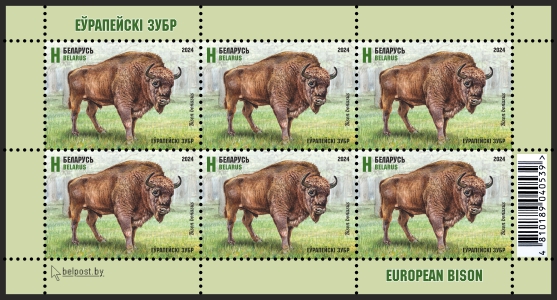 European bison