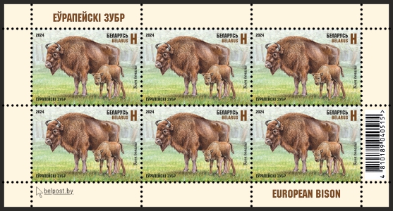 European bison