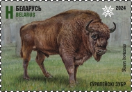European bison