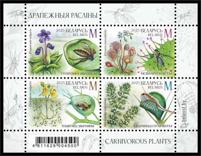Carnivorous plants