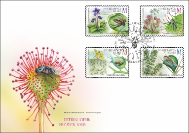 Carnivorous plants