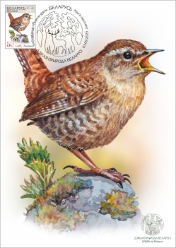 Maximum cards “Wildlife of Belarus”