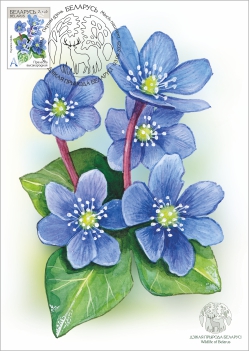 Maximum cards “Wildlife of Belarus”