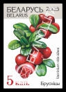 Lingonberry