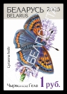 Violet copper