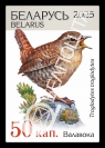 Eurasian Wren
