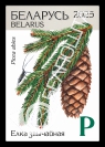 European spruce