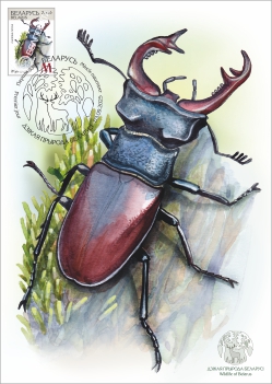 Maximum cards “Wildlife of Belarus”