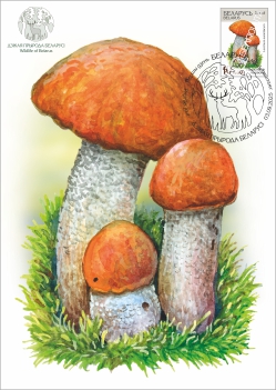 Maximum cards “Wildlife of Belarus”