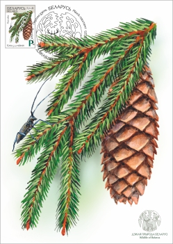 Maximum cards “Wildlife of Belarus”