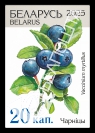 Bilberry