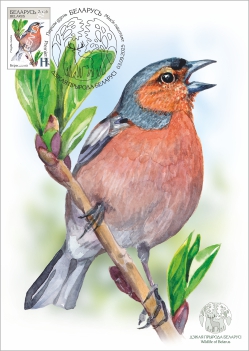 Maximum cards “Wildlife of Belarus”