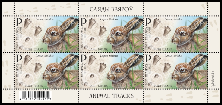 Загруженное изображение