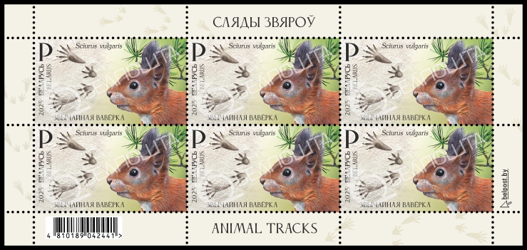 Загруженное изображение