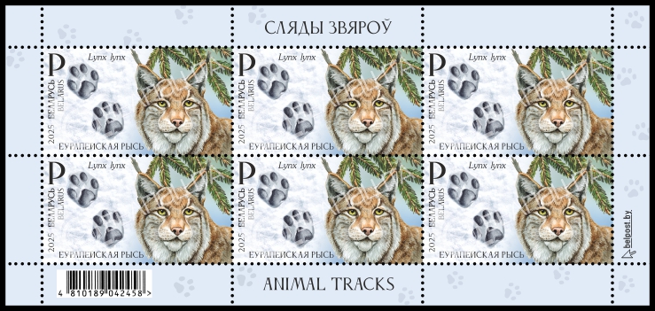 Загруженное изображение