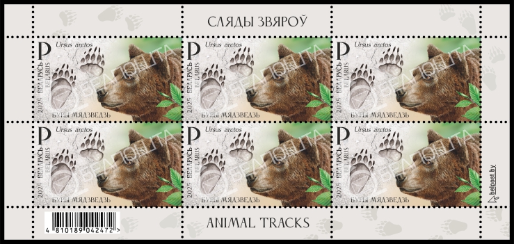 Загруженное изображение